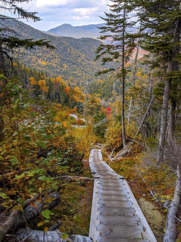 Adirondack mountains with fall leaves