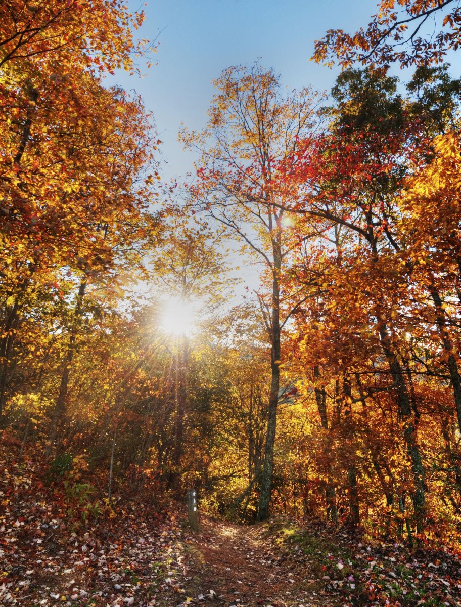 Blue Ridge Parkway autumn mountains