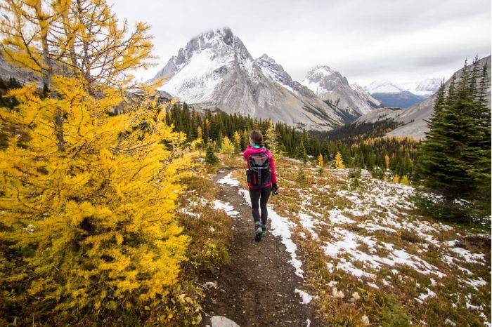 Canadian Rockies autumn trail
