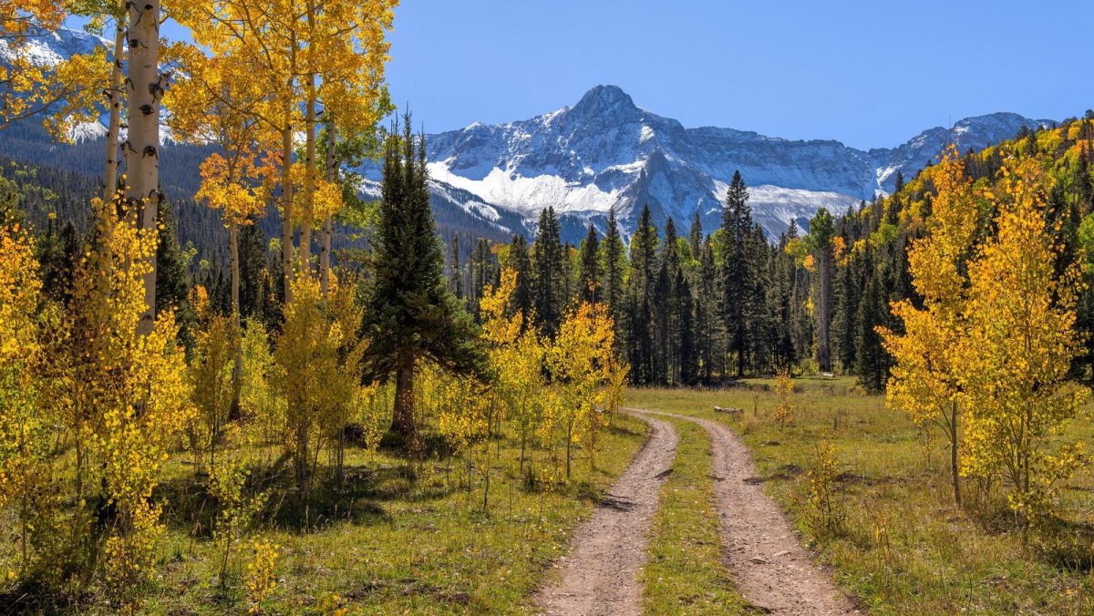 San Juan Mountains fall foliage