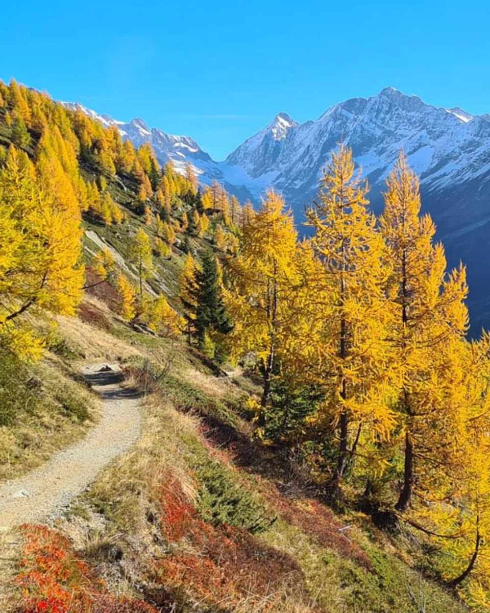 European Alps trail in autumn