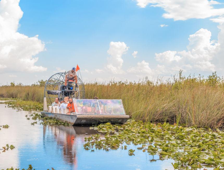 Everglades airboat wildlife tour