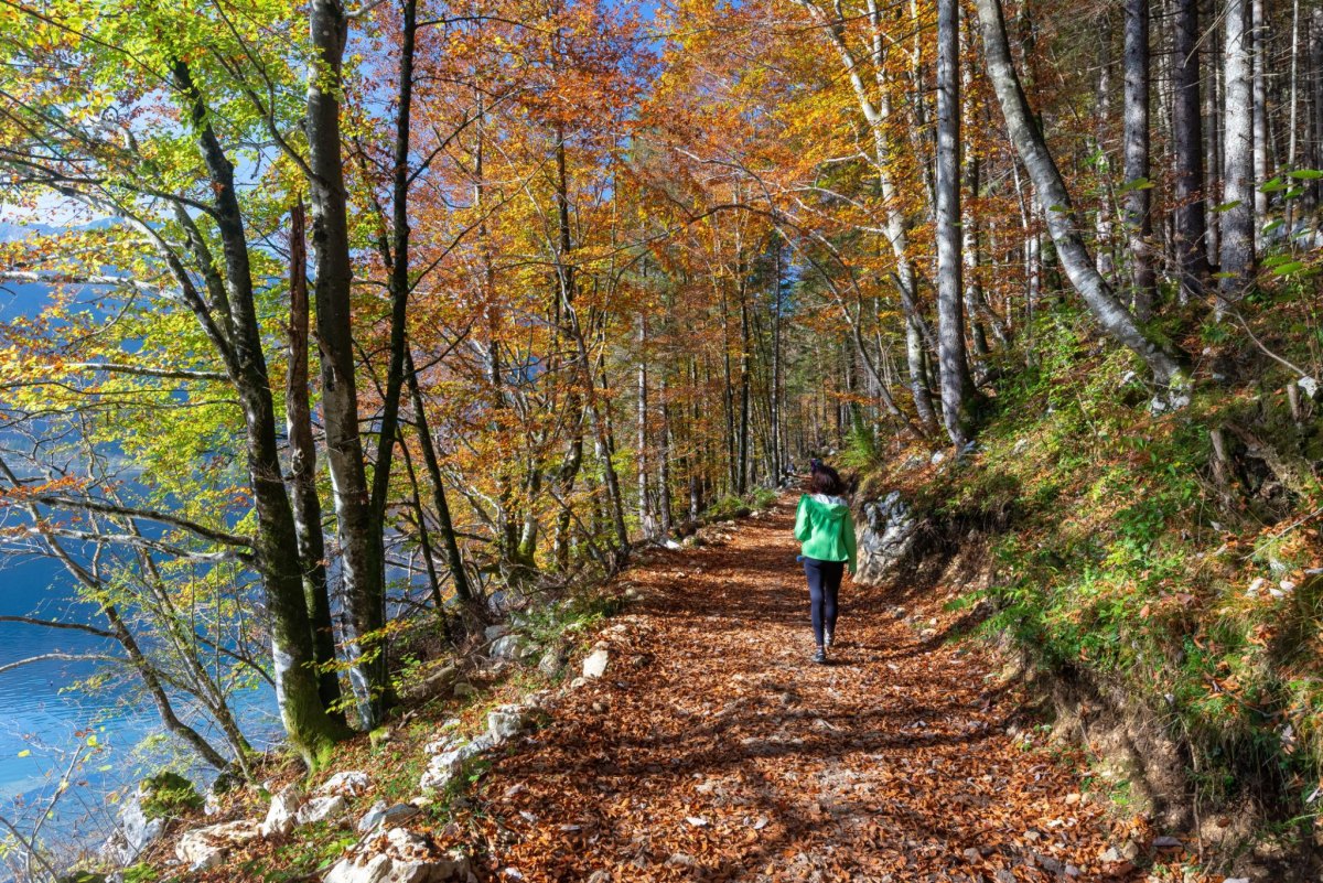 Julian Alps autumn hiking trail