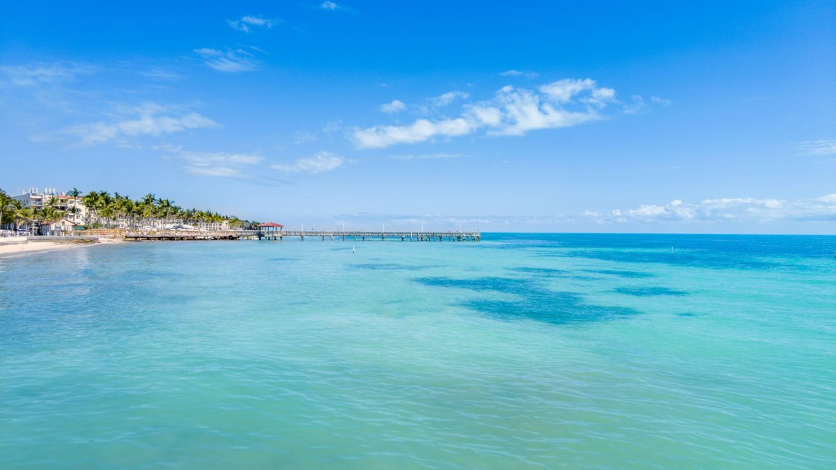 Best Day Trips in Florida for Every Type of Traveler