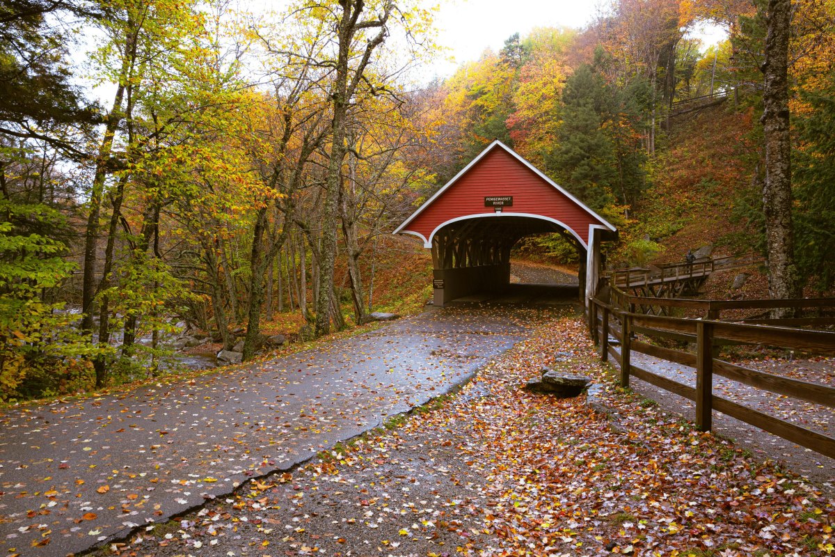 Covered bridge with fall leaves