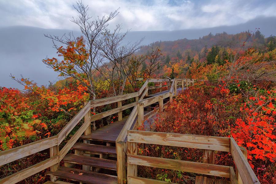 North Carolina mountain fall trail