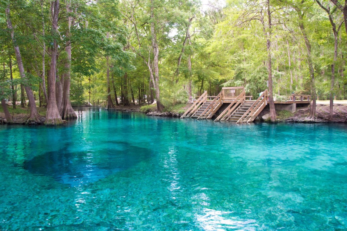 Ocala National Forest natural springs