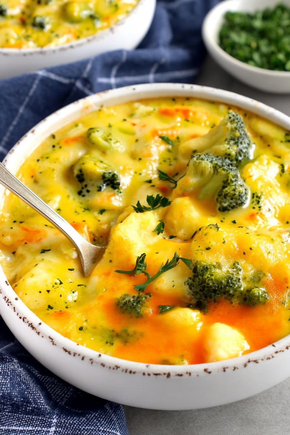 Hearty Vegetable Soup Bowl