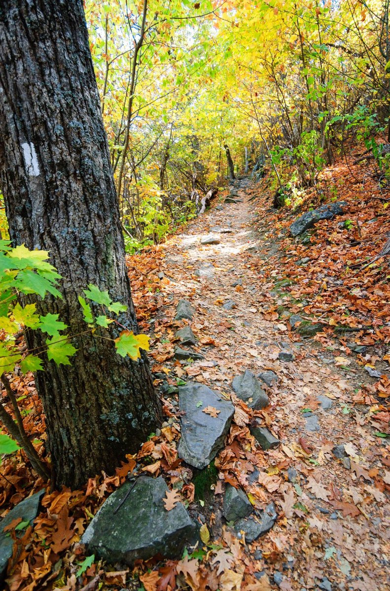 Shenandoah trail autumn colors