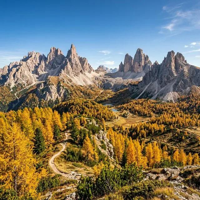 Dolomites golden larch forests