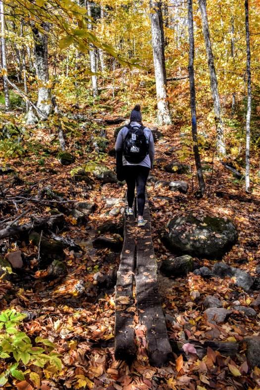 White Mountains trail in fall